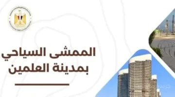 رقم غير مسبوق.. شركة المقاولون العرب تحصد 5 جوائز دفعة واحدة 1